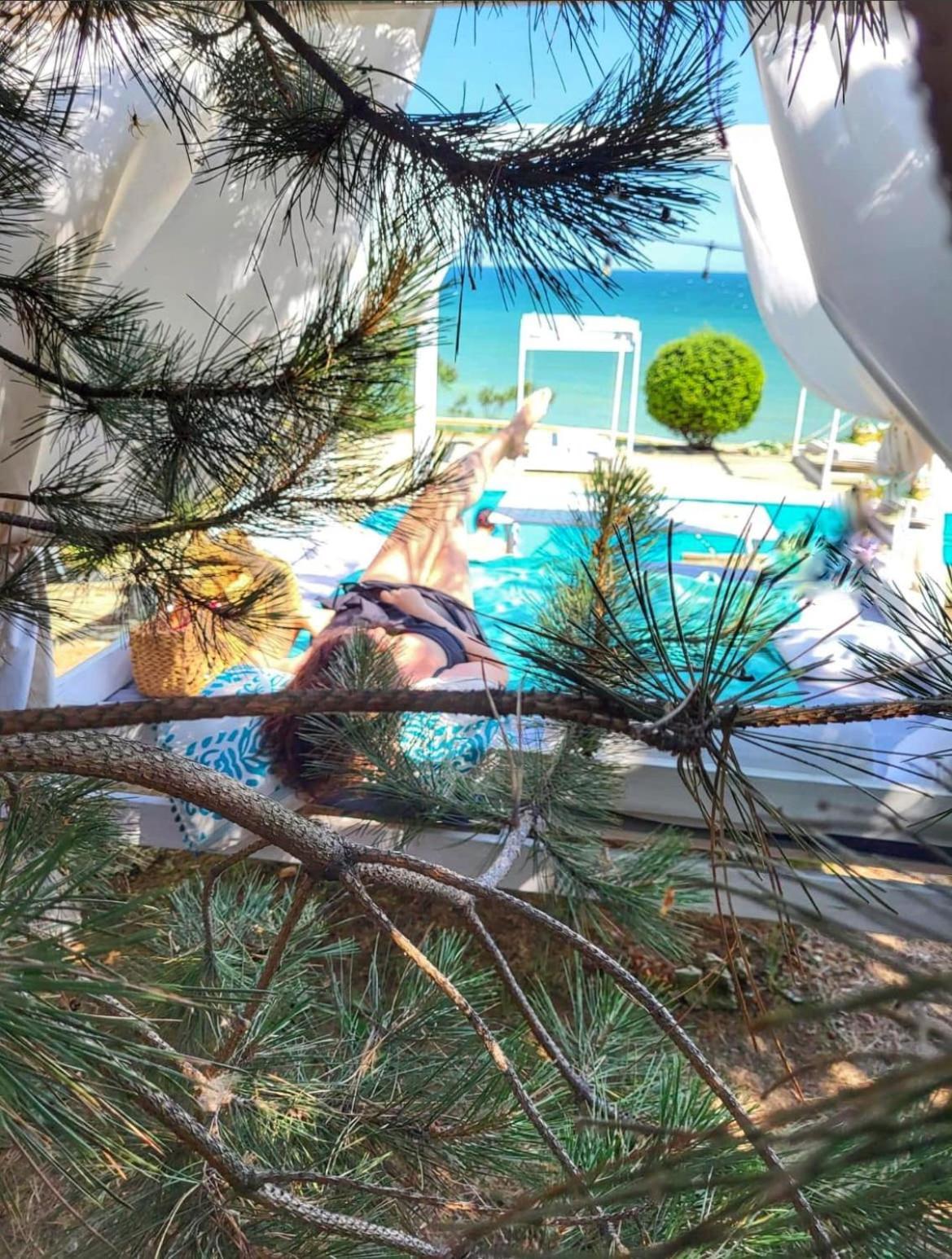 Sea&Sky Villa 科斯蒂内什蒂 外观 照片